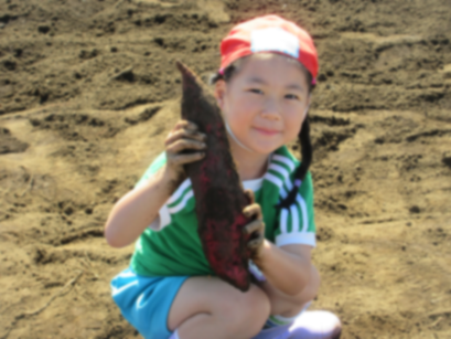 芋掘り遠足